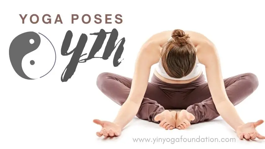 yin yoga poses