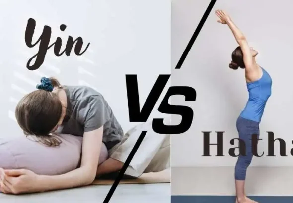 Yin vs Hatha Yoga