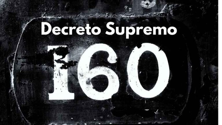 Decreto Supremo 160