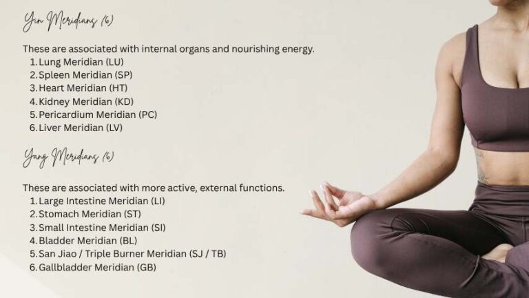 Yin Meridians